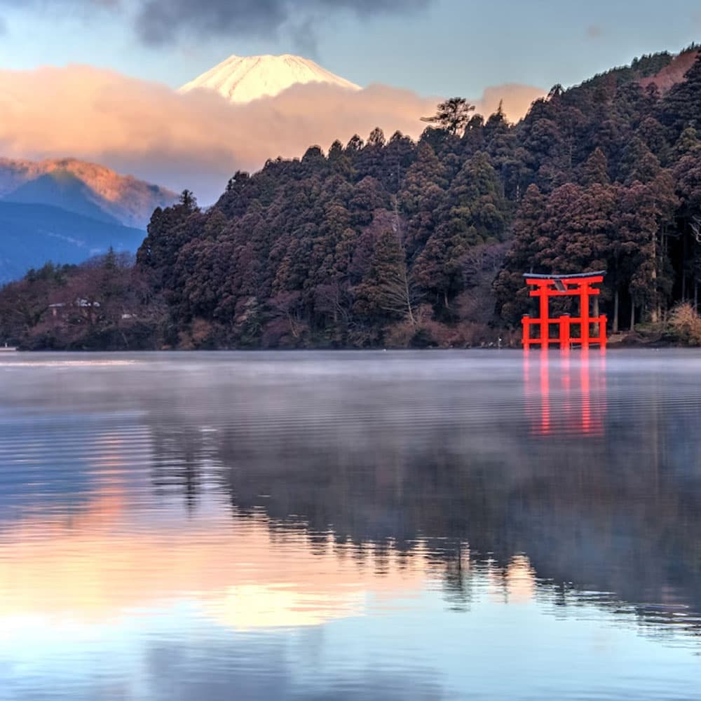 گالری تصویر ۱